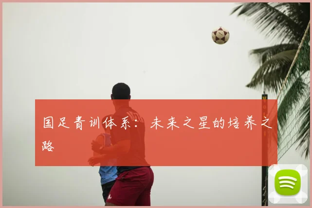 国足青训体系：未来之星的培养之路